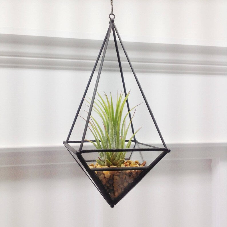 Hanging Teardrop Terrarium Large