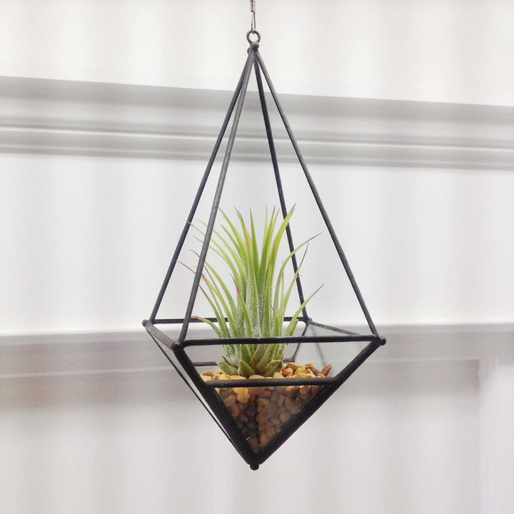 Hanging Teardrop Terrarium Medium