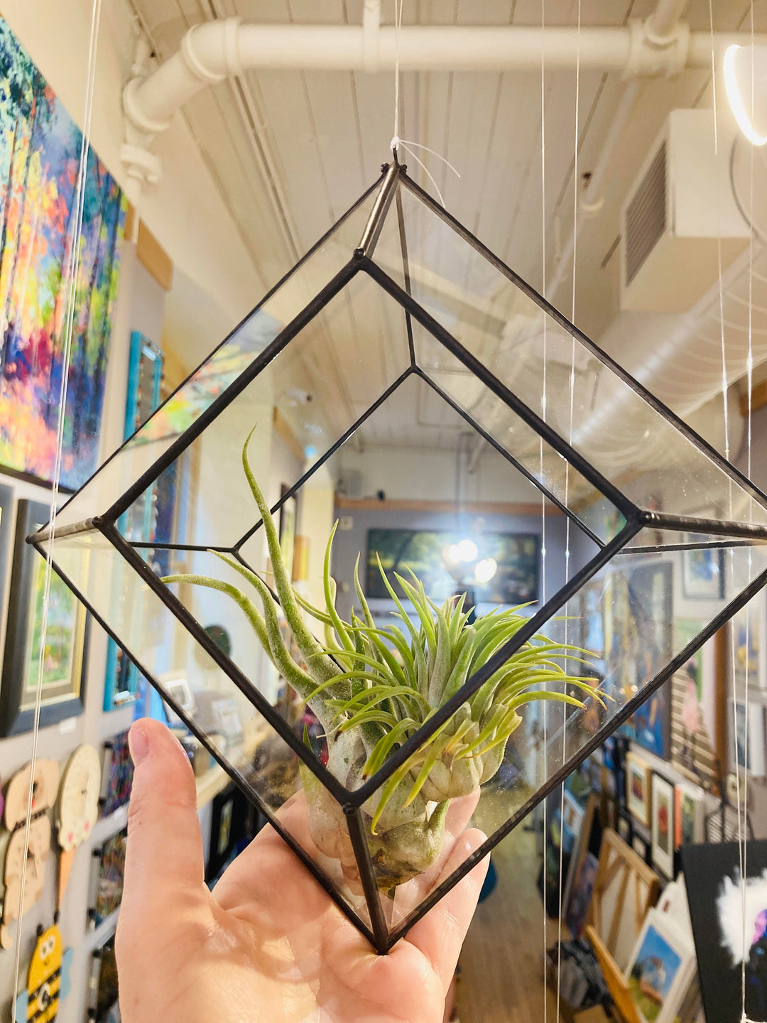 Trapezoid Terrarium Planter