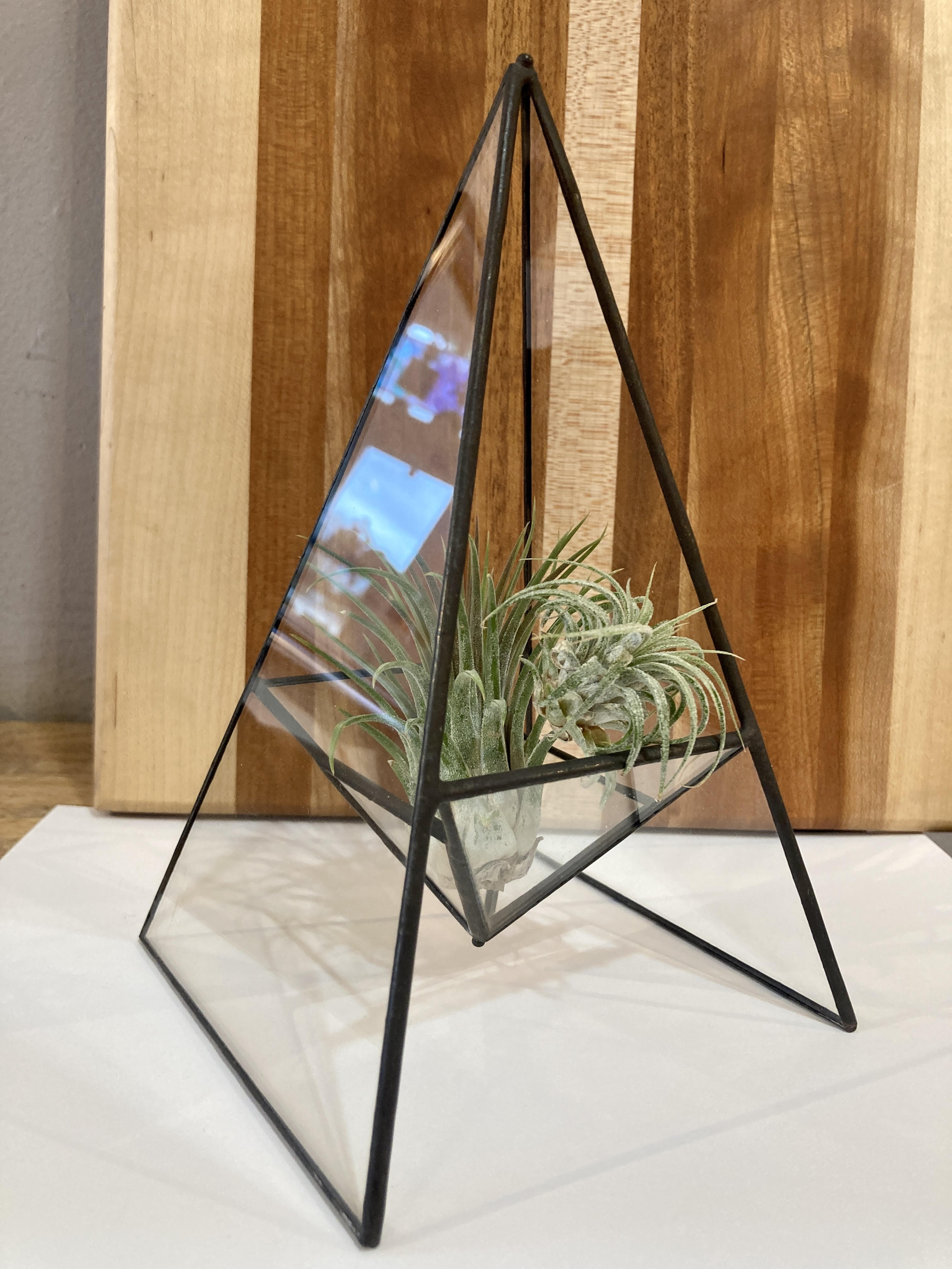 Flat Glass – Glass Growers Gallery & Gifts