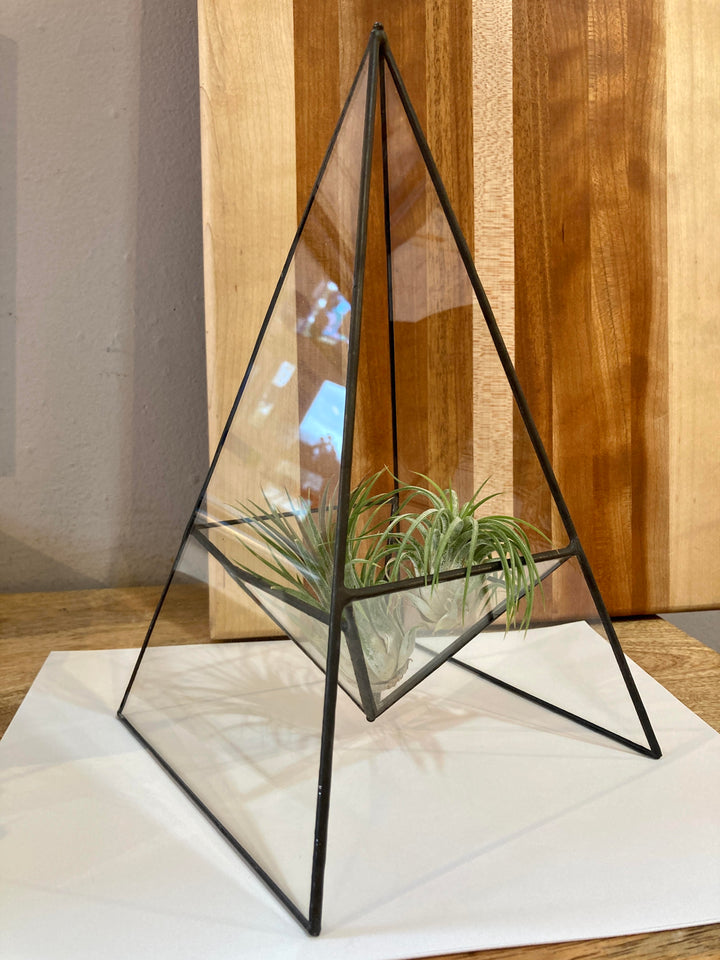 Large Tabletop Terrarium Planter