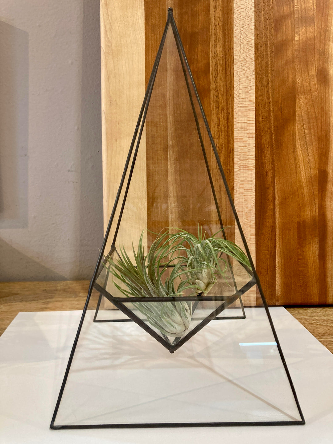 Large Tabletop Terrarium Planter