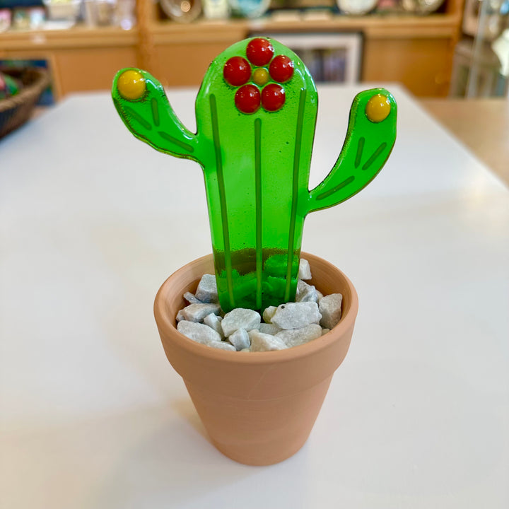 Potted Cactus Small Red Flower