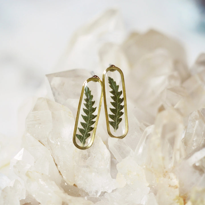 Slender Oval Posts Fern