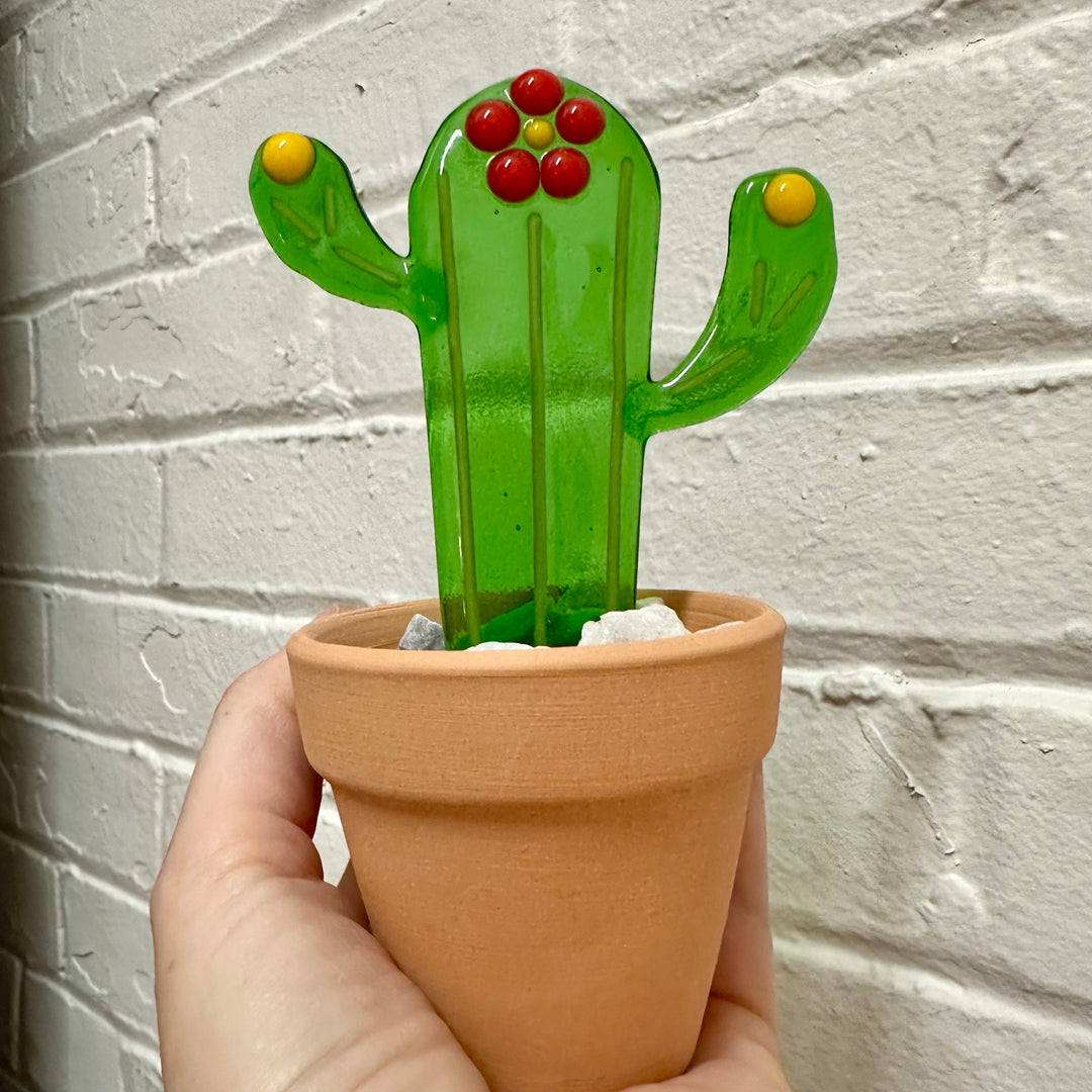 Potted Cactus Small Red Flower