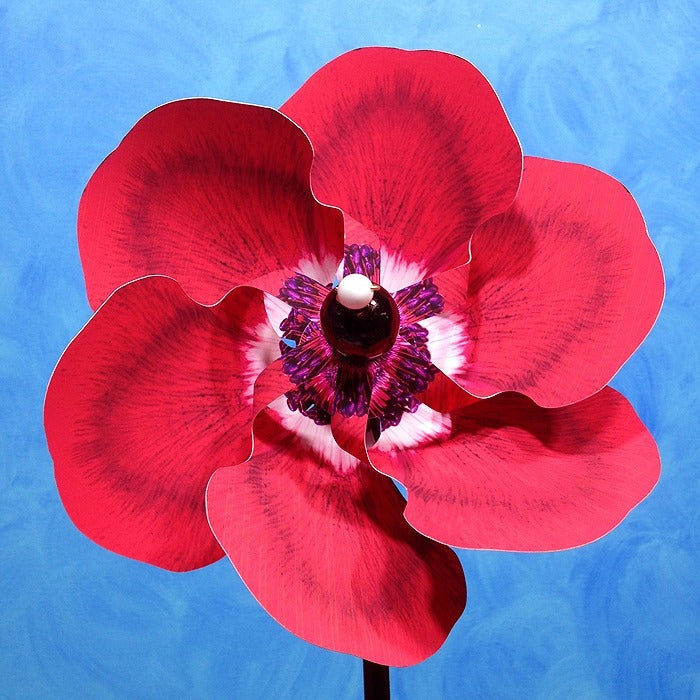 Pinwheel Red Poppy