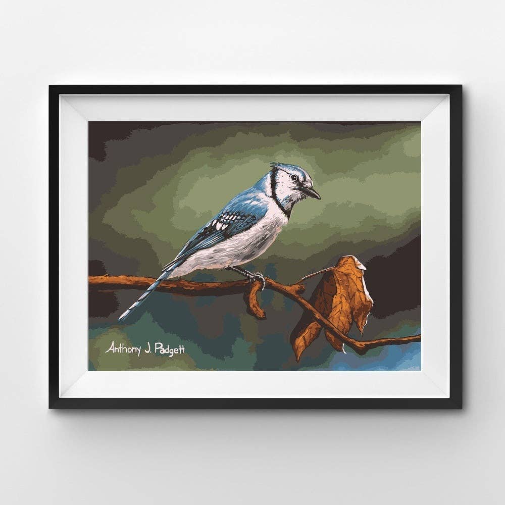 Blue Jay Perched in Autumn