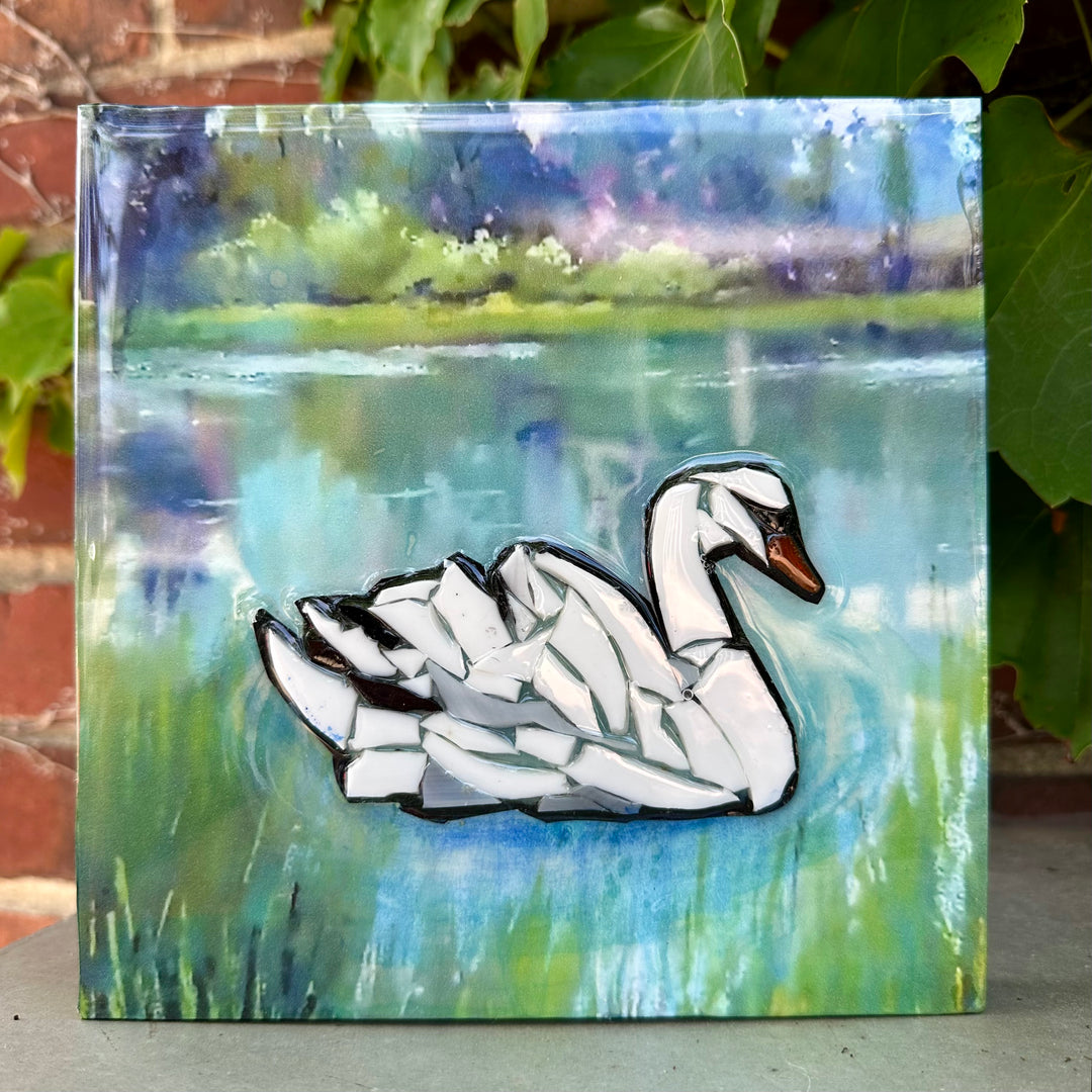 Swan on Lake