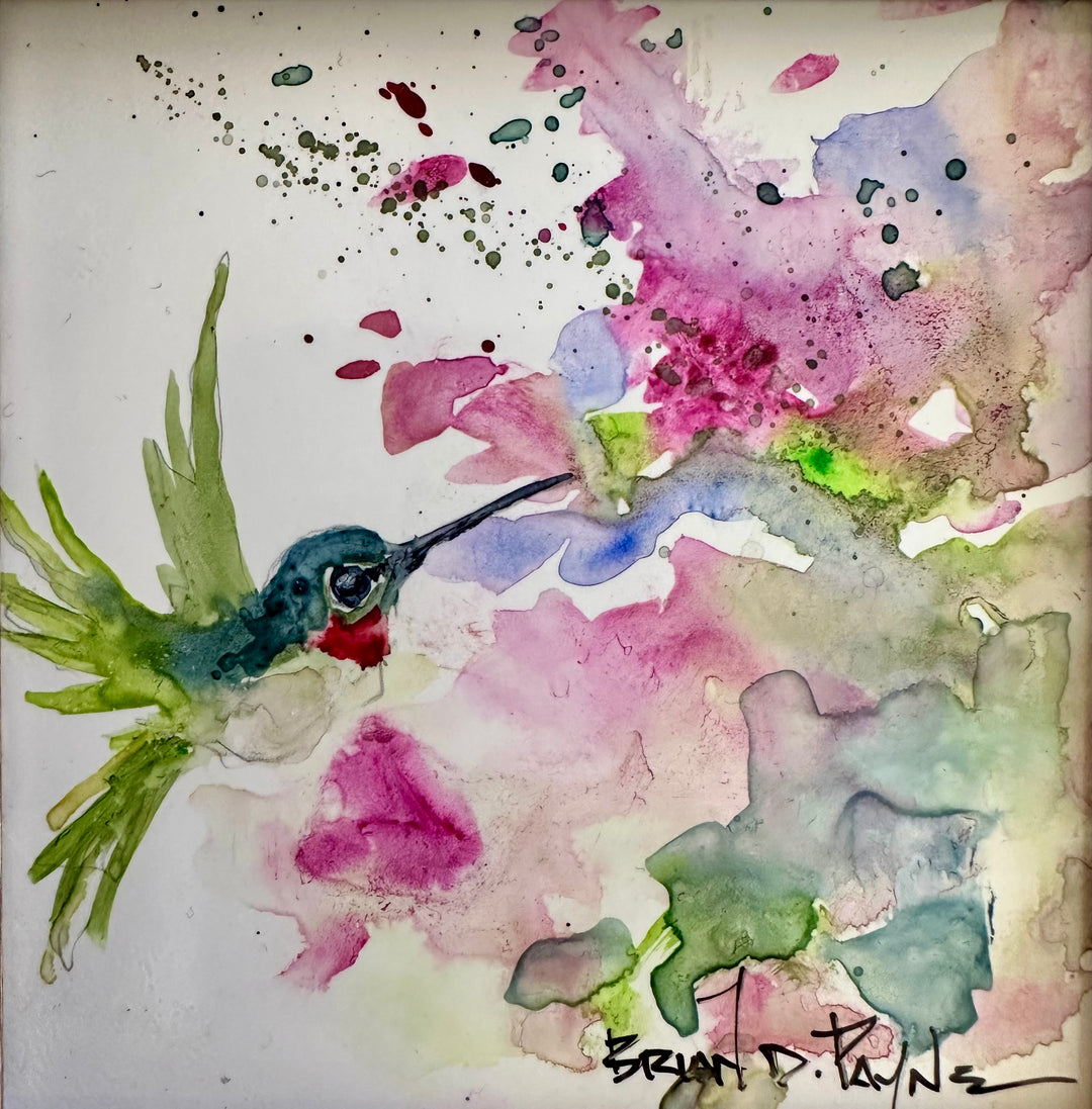 Hummingbird Sipping on Splashes of Color