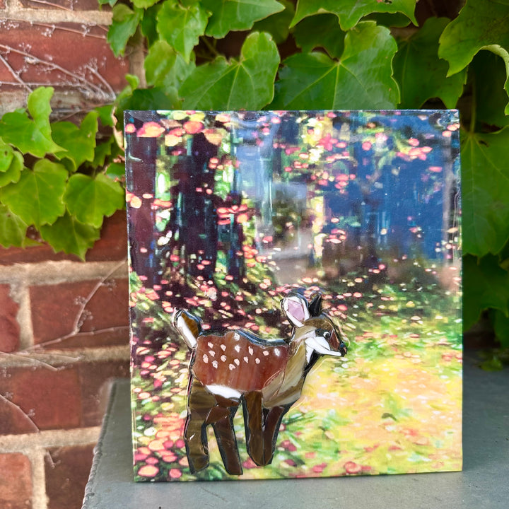 Fawn in Woods