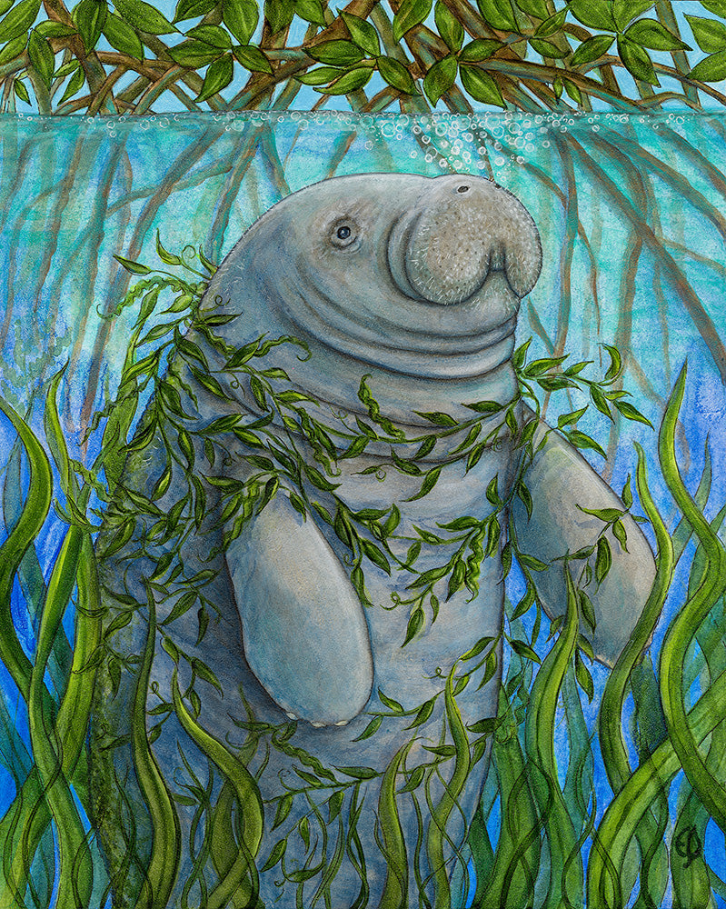 Print - Sirena