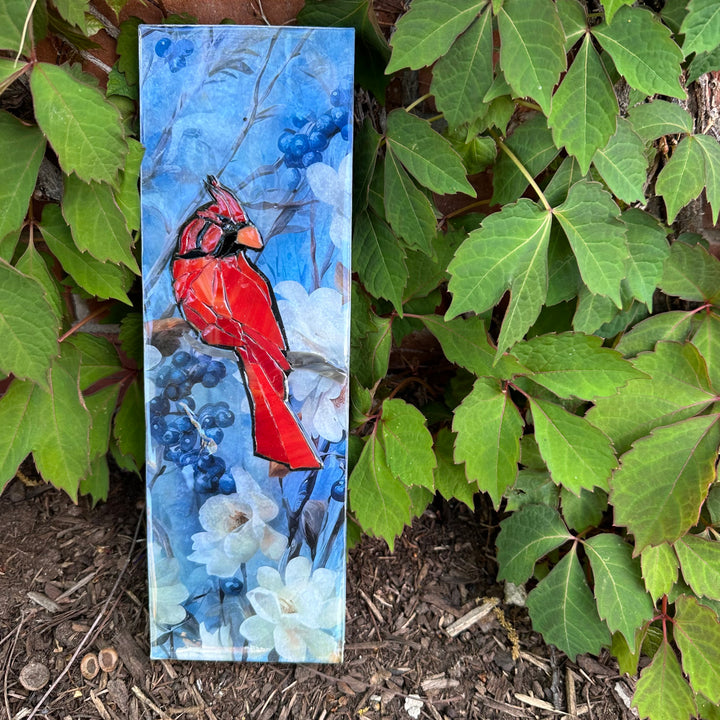 Cardinal on White & Blue