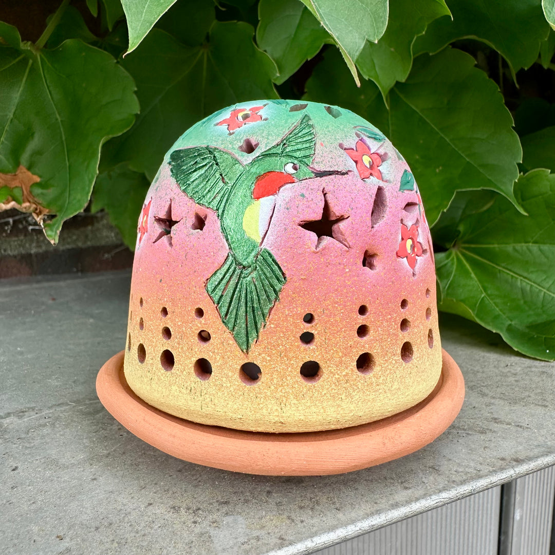 Luminary Hummingbird + Hibiscus Flowers