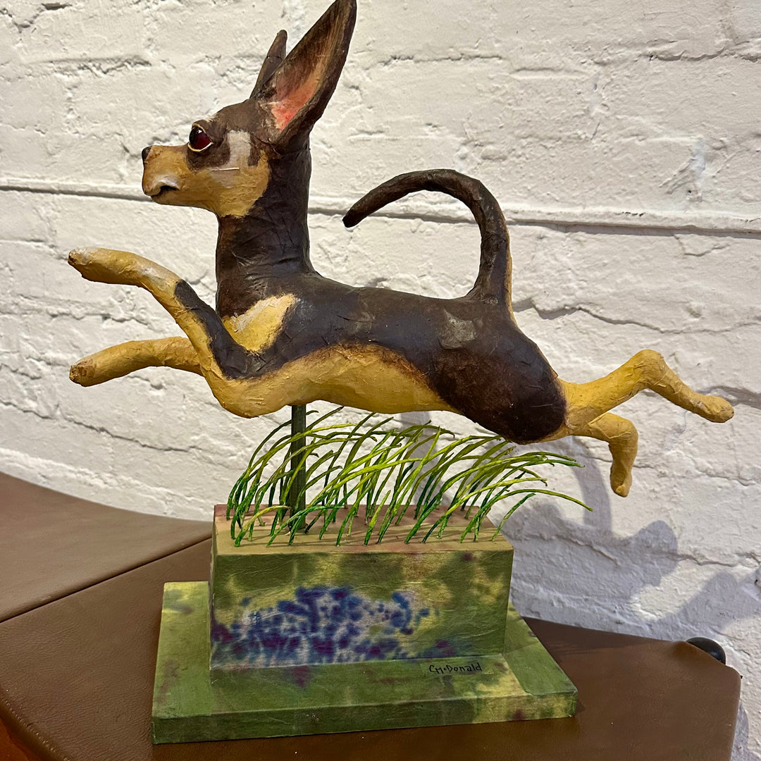 Chihuahua