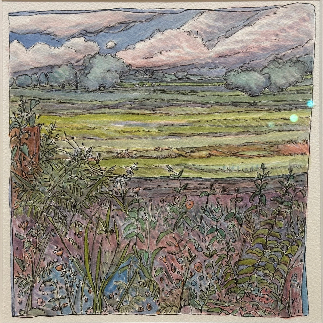 Summer View