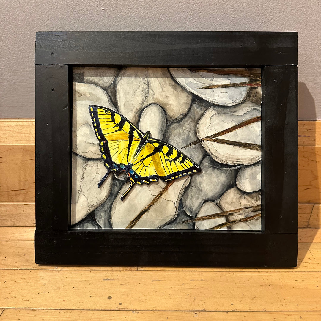 Butterfly Swallowtail