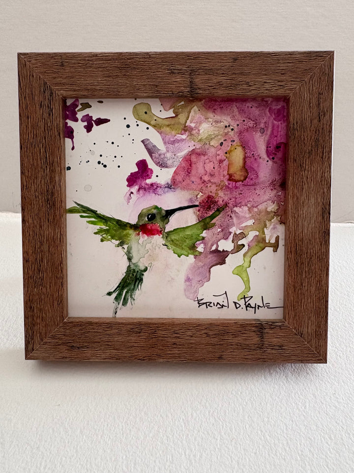 Hummingbird 1