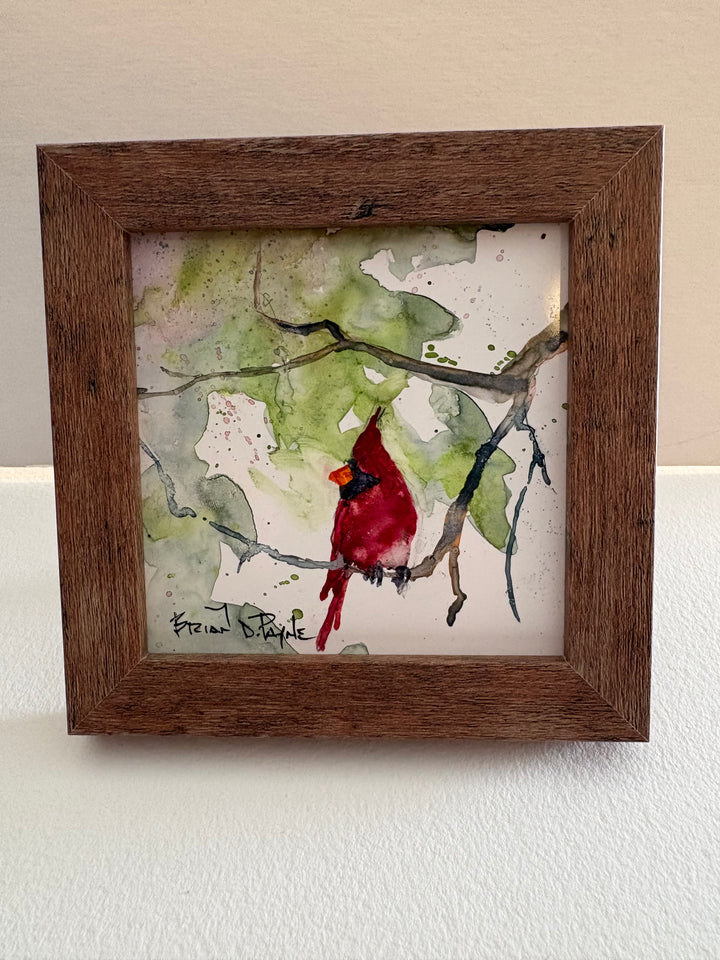 Cardinal Facing Left