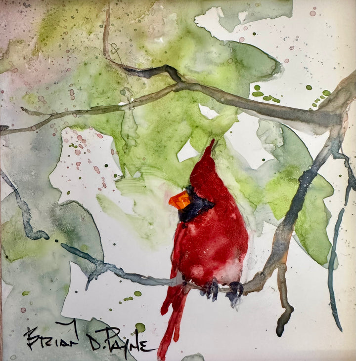 Cardinal Facing Left