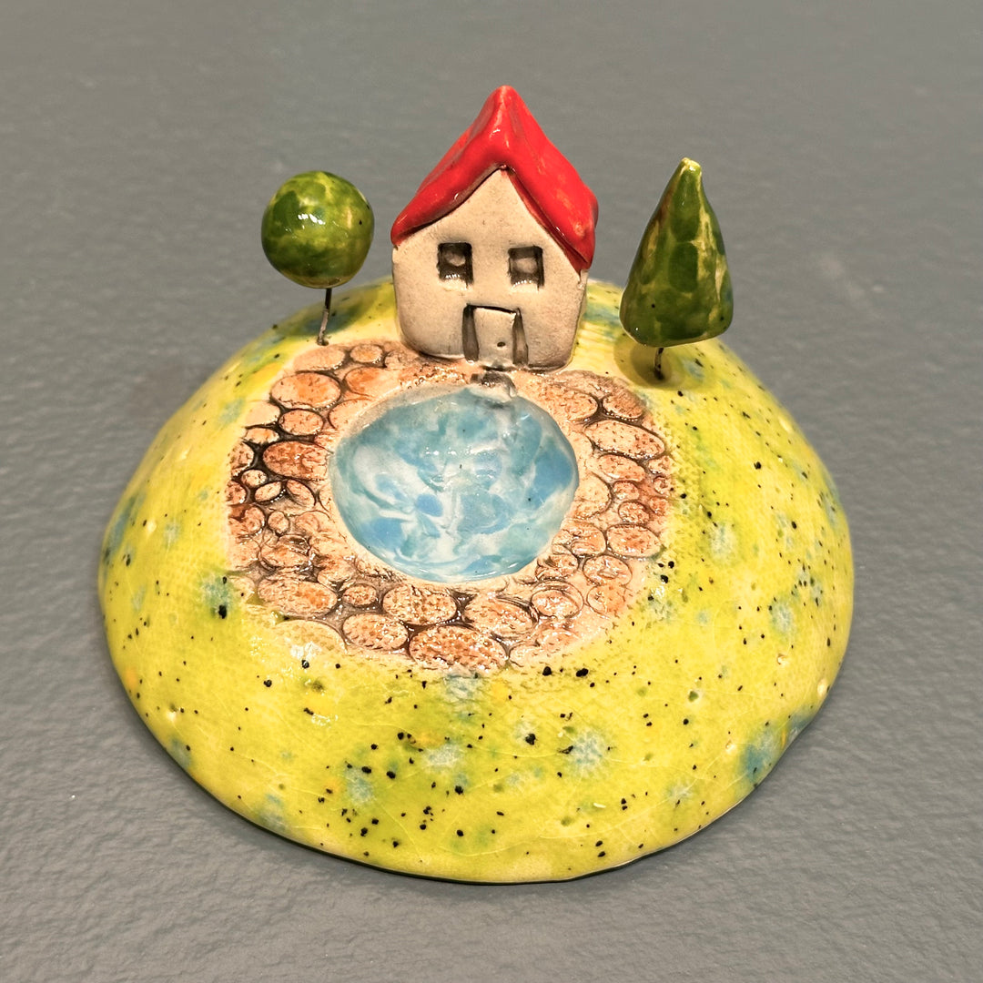 House with a Pond