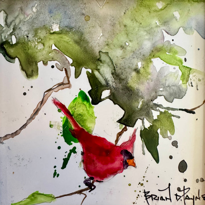 Cardinal in a Tree
