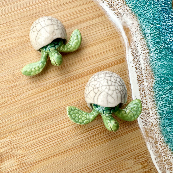 Mini Sea Turtle Hatchling