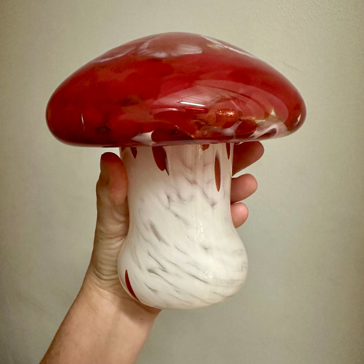 Mushroom Red Cap on White Stem