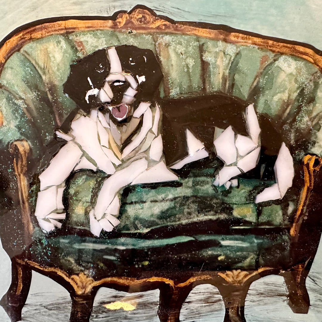Black + White Dog on a Green Settee