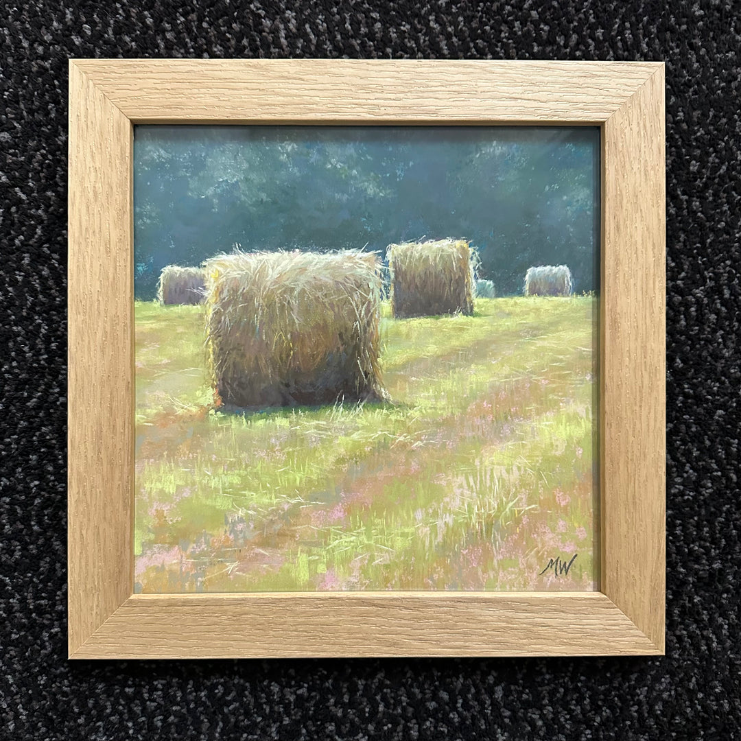 Bales Study 1