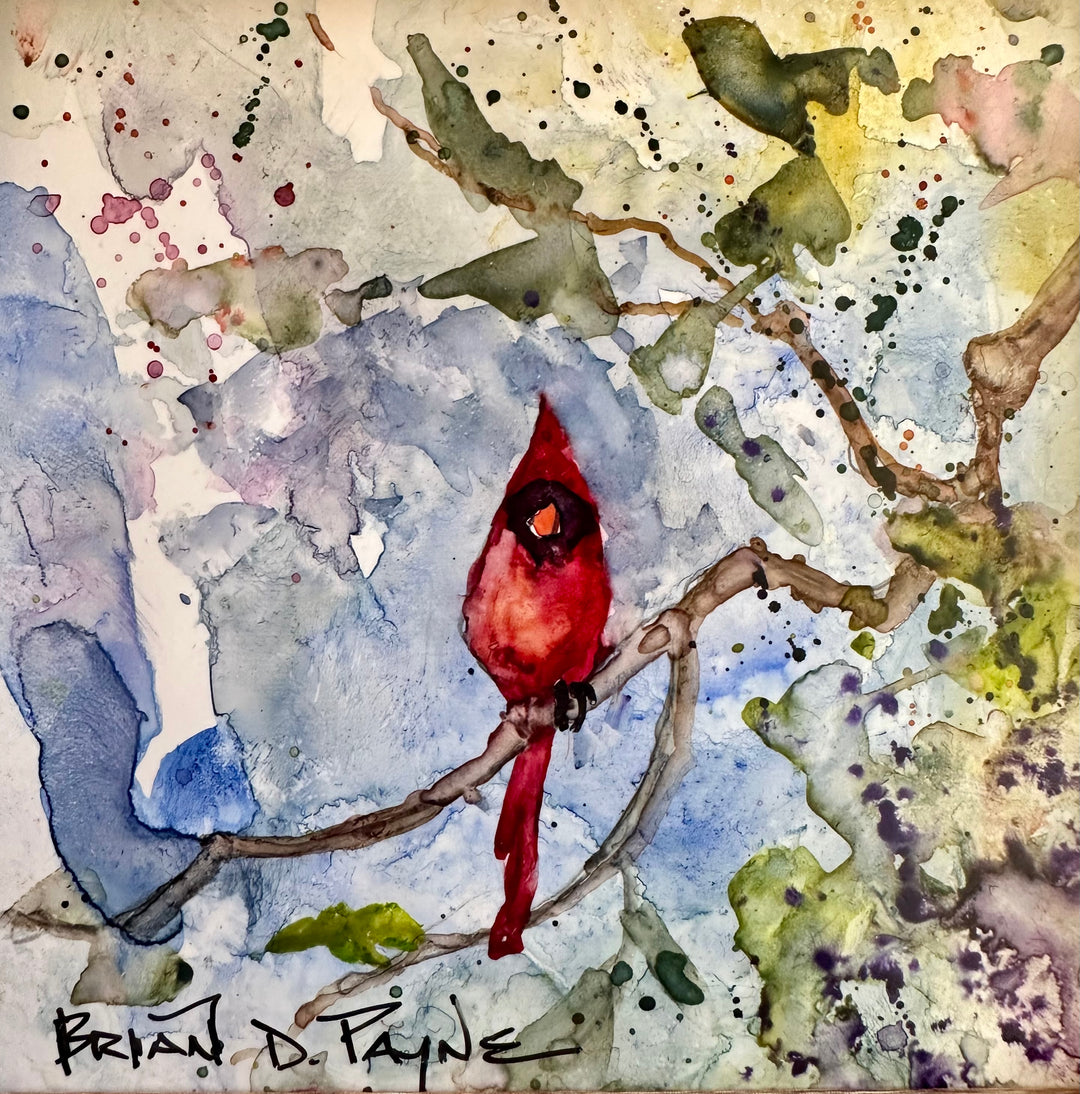 Cardinal on a Branch