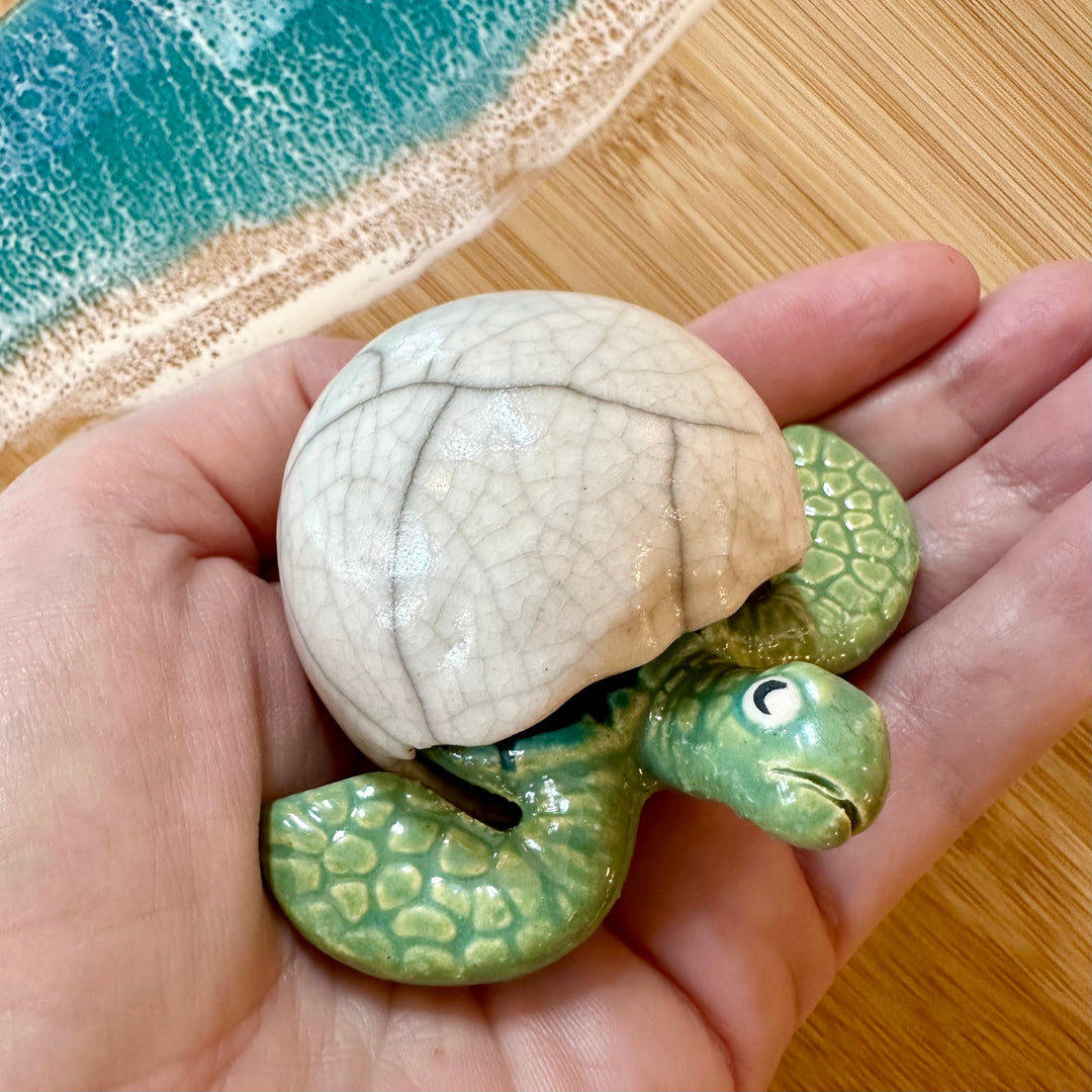 Sea Turtle Medium Hatchling