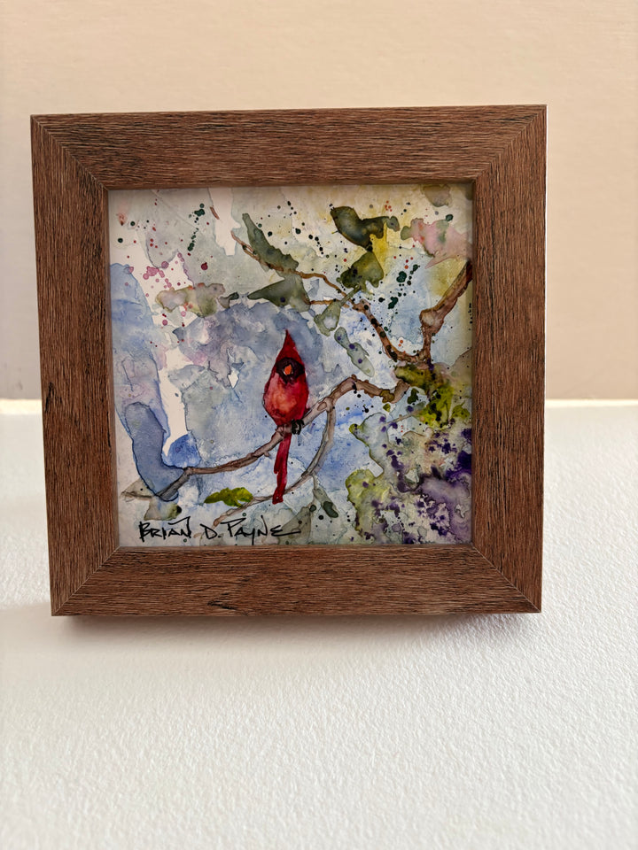 Cardinal on a Branch