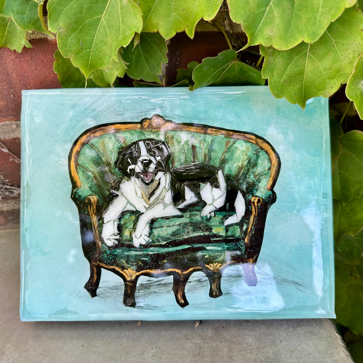 Black + White Dog on a Green Settee