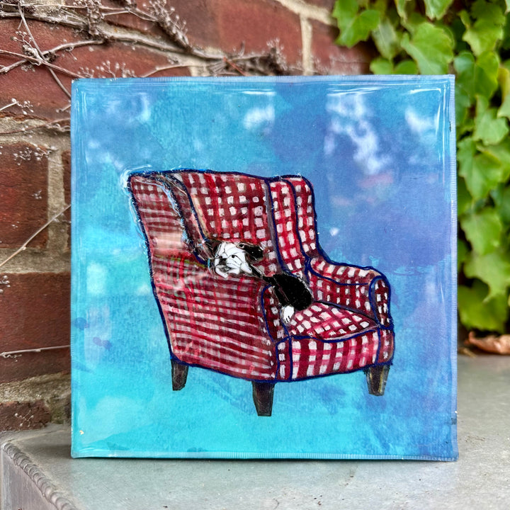Sheep Dog on a Red + White Chair