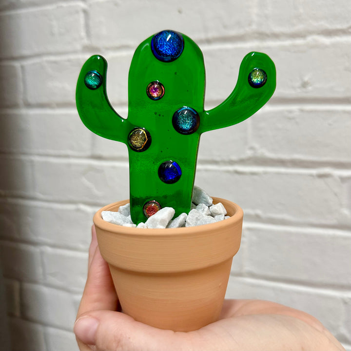 Potted Cactus Small Polka Dots