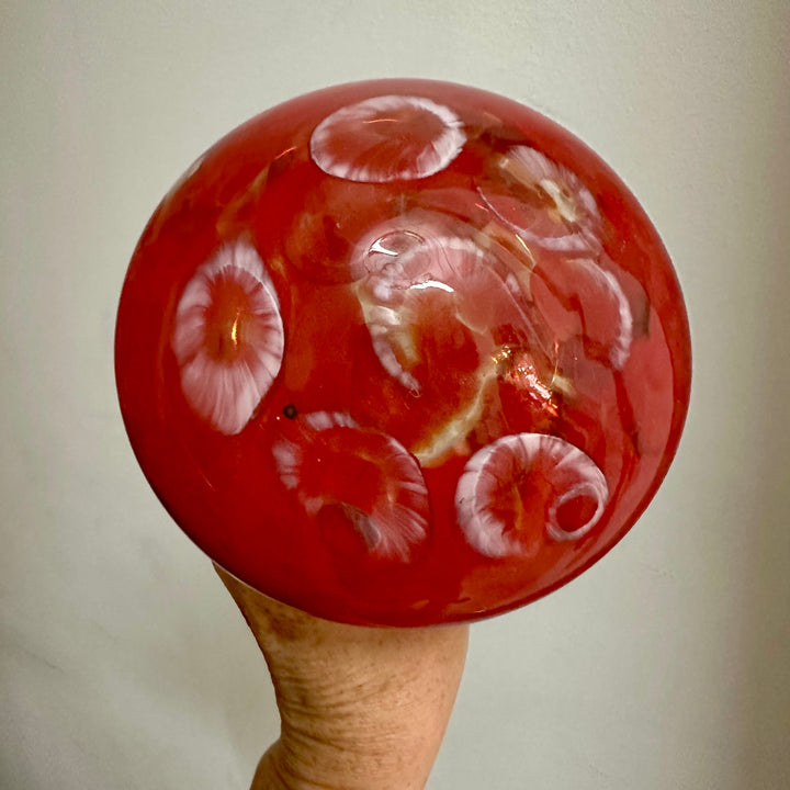 Mushroom Red Cap on White Stem