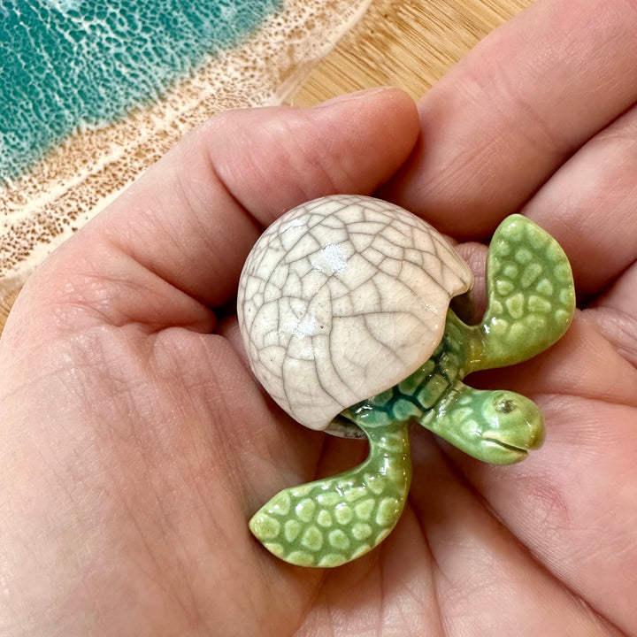 Mini Sea Turtle Hatchling