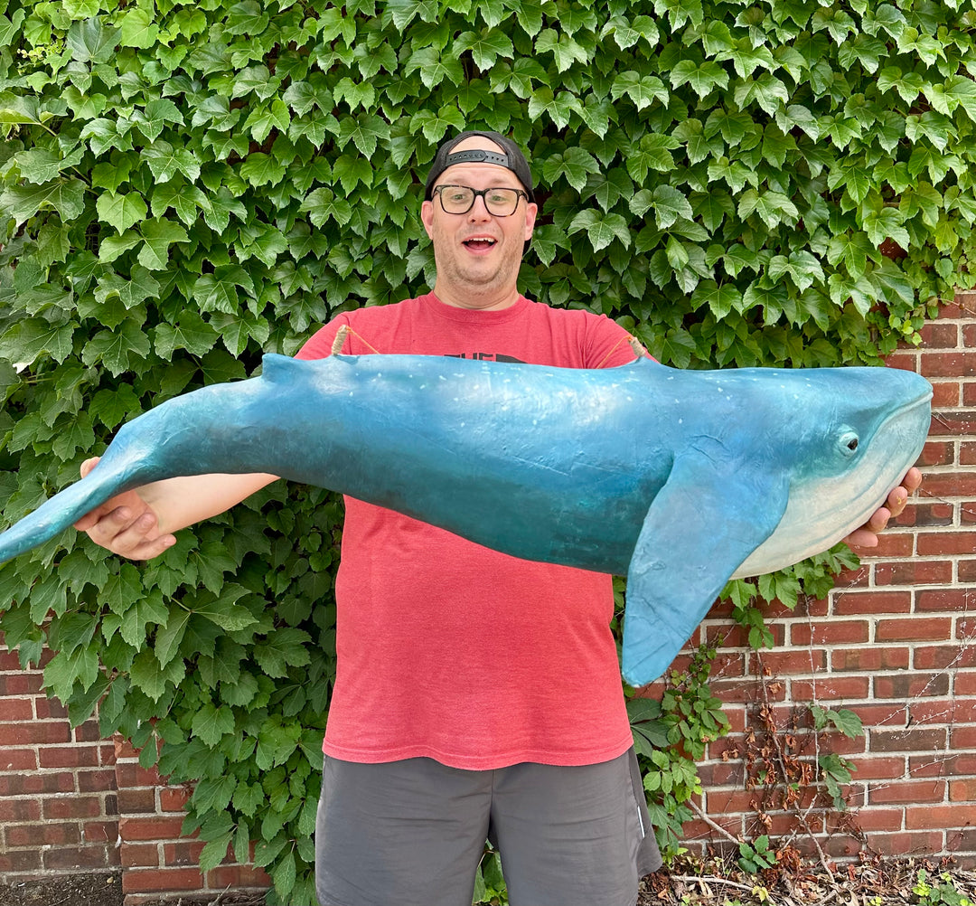 Blue Whale