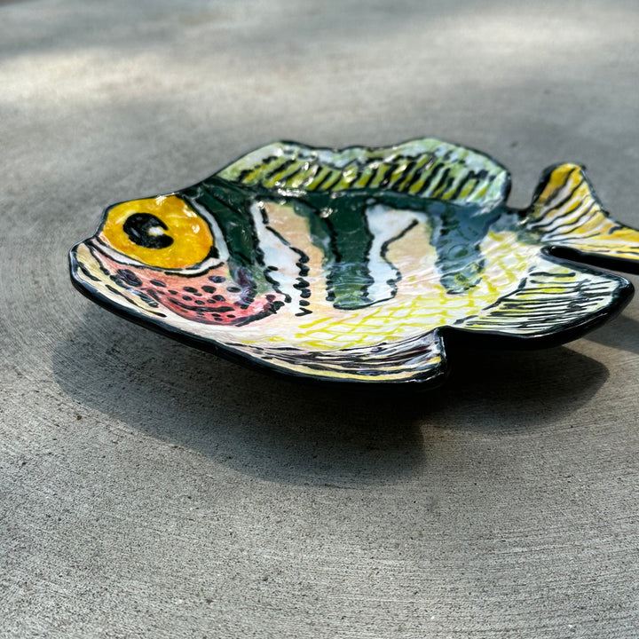 Fish Dish Medium Green + Yellow