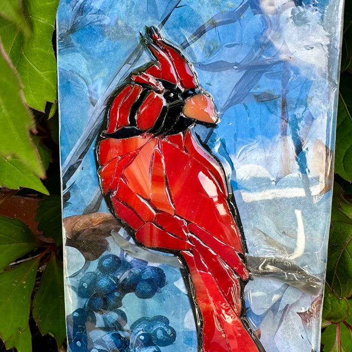 Cardinal on White & Blue