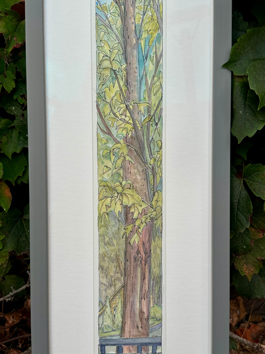 Summer Leaves