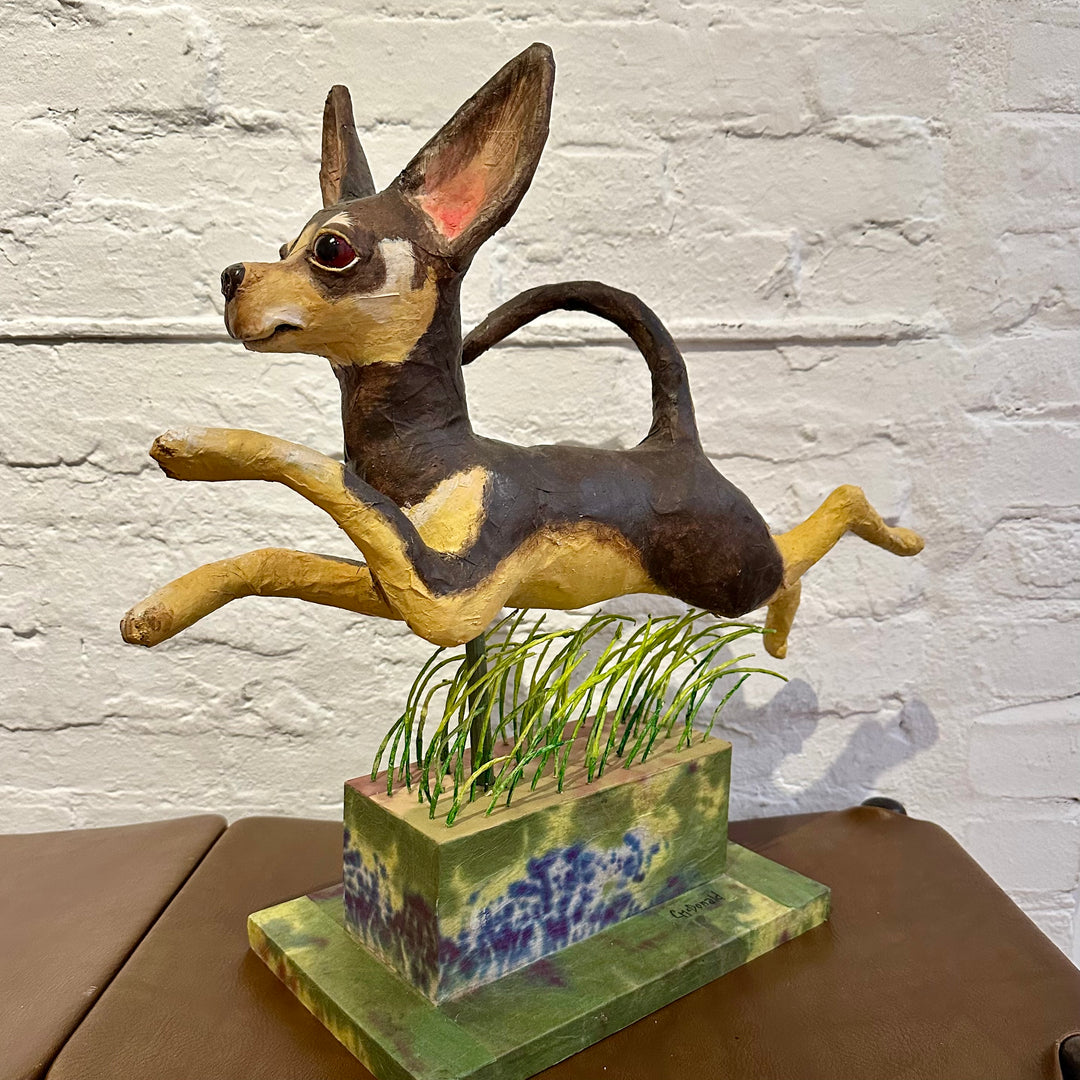 Chihuahua