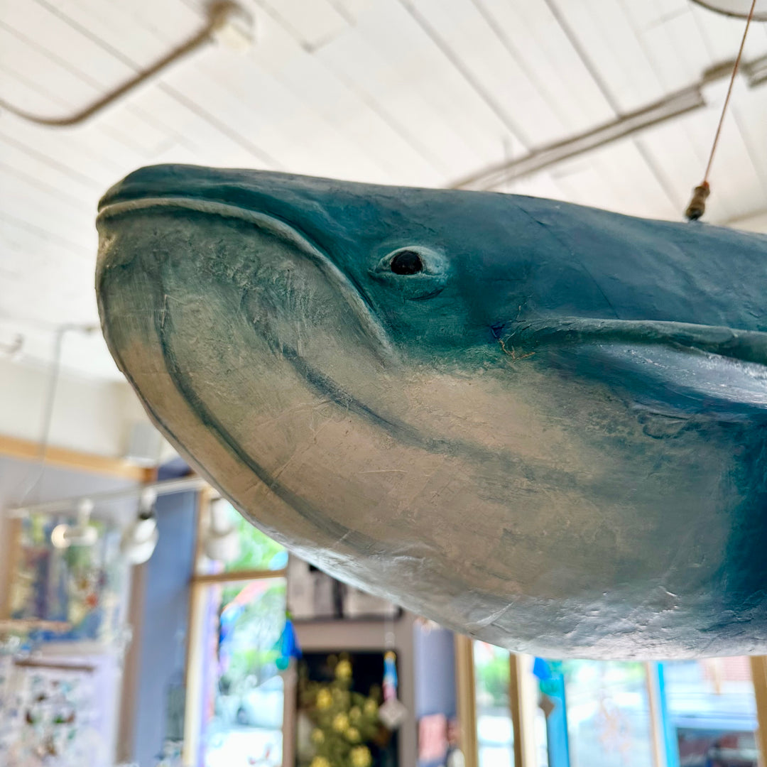 Blue Whale
