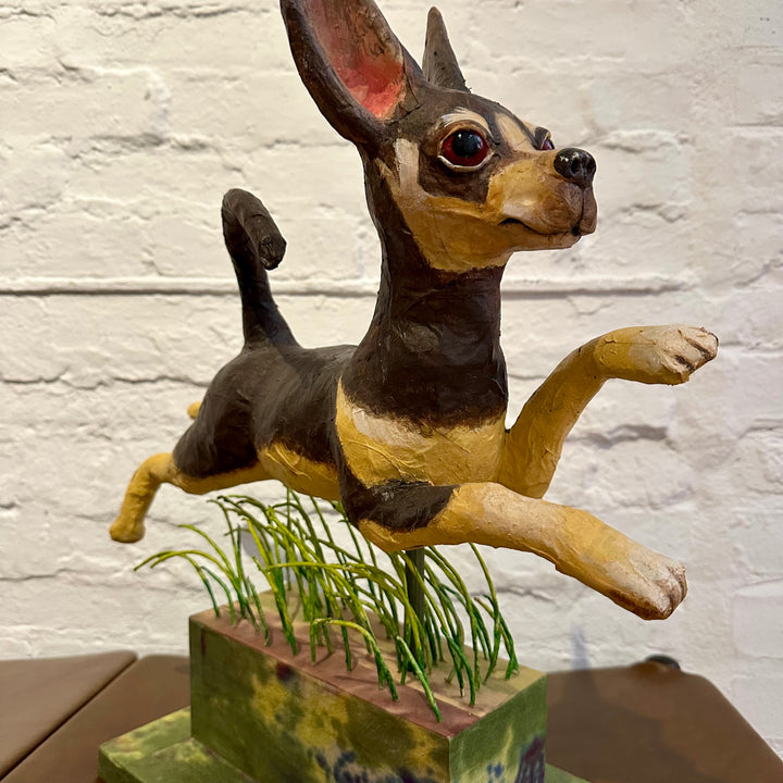 Chihuahua