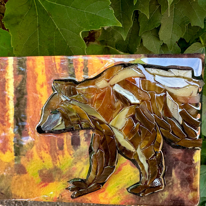 Brown Bear in Woods