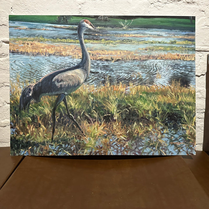 Sandhill Crane - D.P. Warner