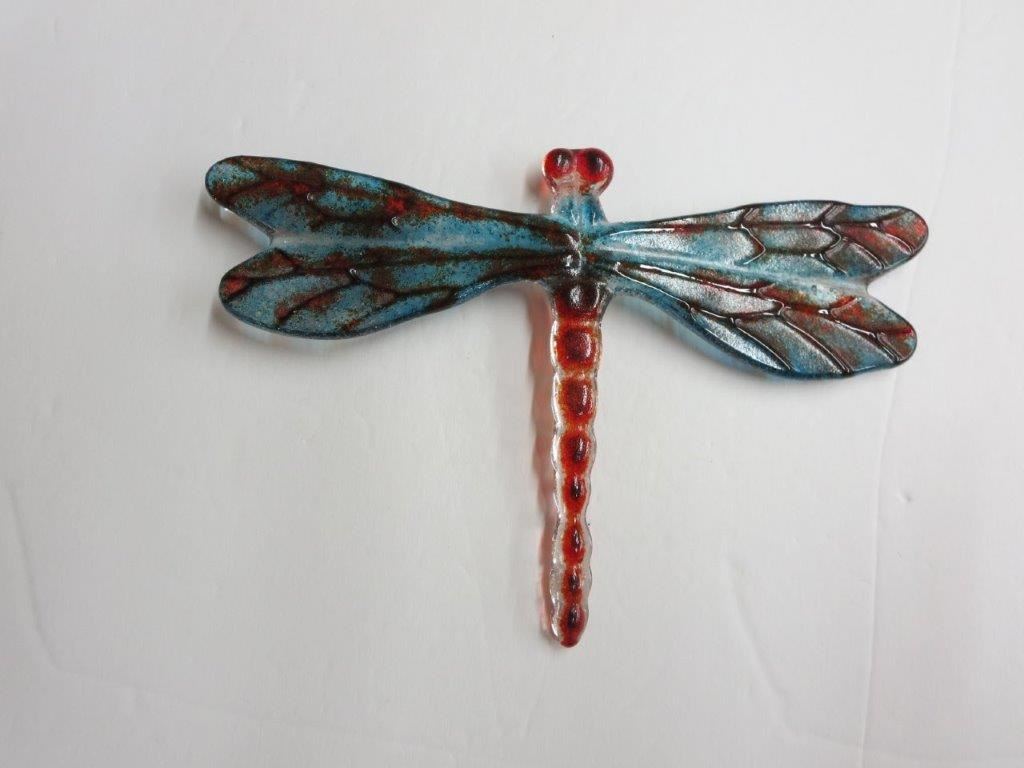 Bug Eye Dragonfly