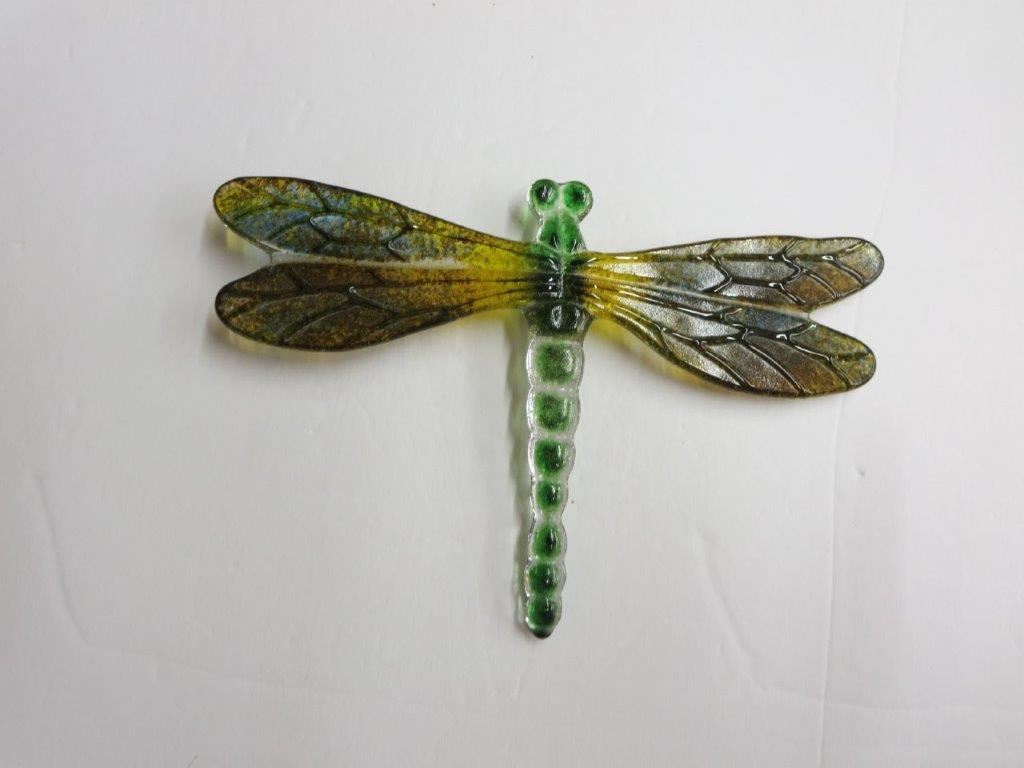 Bug Eye Dragonfly