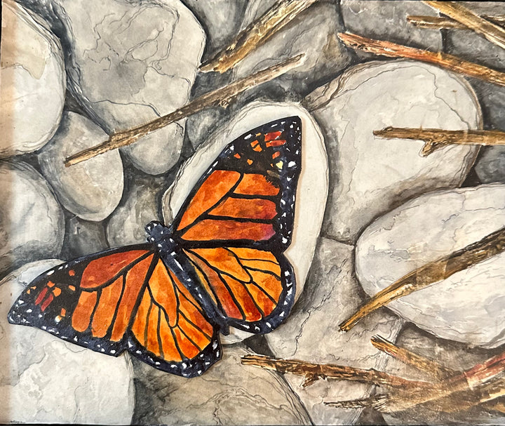 Butterfly Monarch
