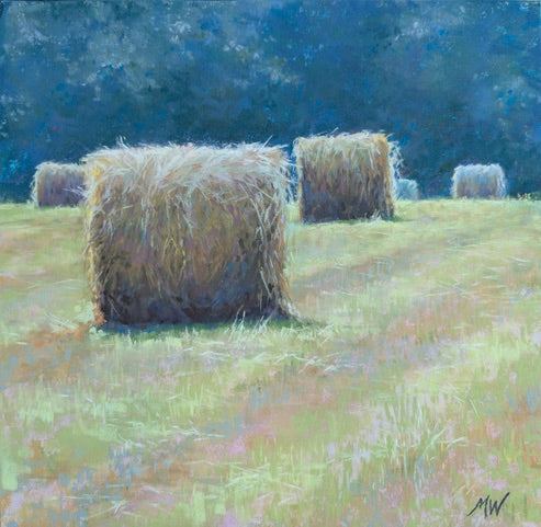 Bales Study 1